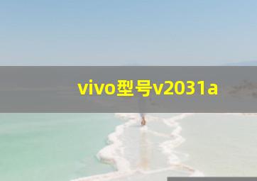 vivo型号v2031a