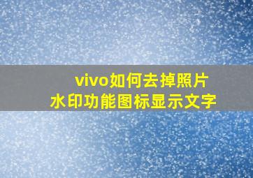 vivo如何去掉照片水印功能图标显示文字