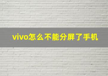 vivo怎么不能分屏了手机