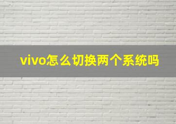 vivo怎么切换两个系统吗