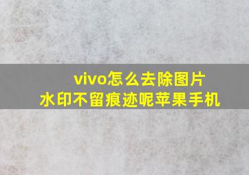 vivo怎么去除图片水印不留痕迹呢苹果手机