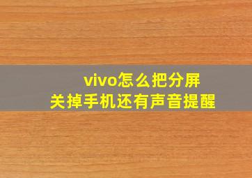 vivo怎么把分屏关掉手机还有声音提醒