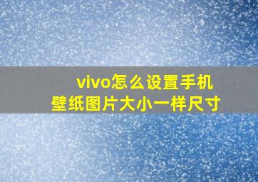 vivo怎么设置手机壁纸图片大小一样尺寸