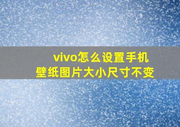 vivo怎么设置手机壁纸图片大小尺寸不变