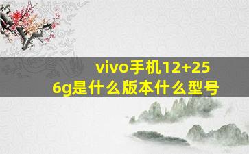 vivo手机12+256g是什么版本什么型号