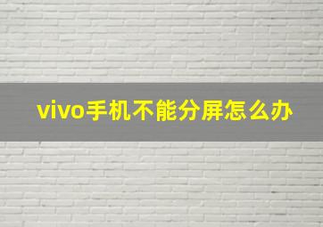 vivo手机不能分屏怎么办