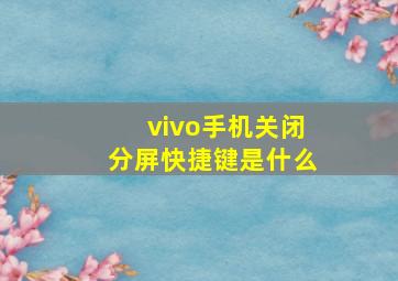 vivo手机关闭分屏快捷键是什么