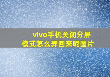 vivo手机关闭分屏模式怎么弄回来呢图片