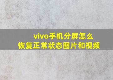 vivo手机分屏怎么恢复正常状态图片和视频