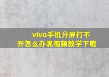 vivo手机分屏打不开怎么办呢视频教学下载