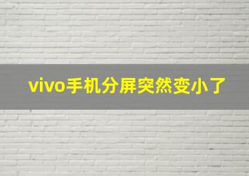 vivo手机分屏突然变小了