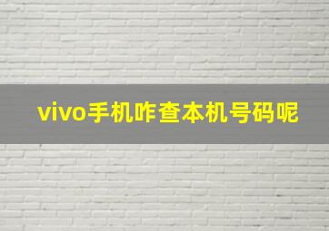 vivo手机咋查本机号码呢