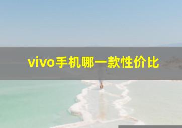 vivo手机哪一款性价比