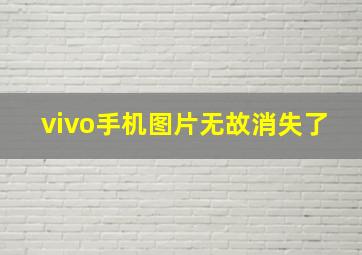 vivo手机图片无故消失了