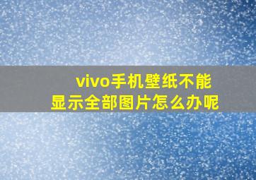 vivo手机壁纸不能显示全部图片怎么办呢