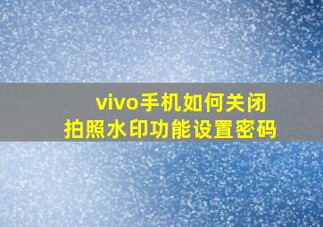 vivo手机如何关闭拍照水印功能设置密码