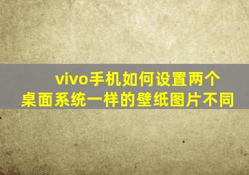 vivo手机如何设置两个桌面系统一样的壁纸图片不同