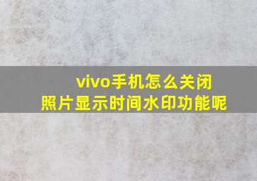 vivo手机怎么关闭照片显示时间水印功能呢