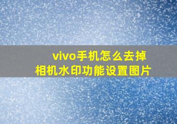 vivo手机怎么去掉相机水印功能设置图片