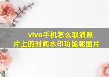 vivo手机怎么取消照片上的时间水印功能呢图片