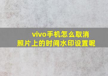 vivo手机怎么取消照片上的时间水印设置呢