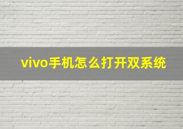 vivo手机怎么打开双系统