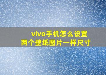 vivo手机怎么设置两个壁纸图片一样尺寸