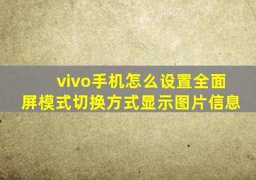 vivo手机怎么设置全面屏模式切换方式显示图片信息