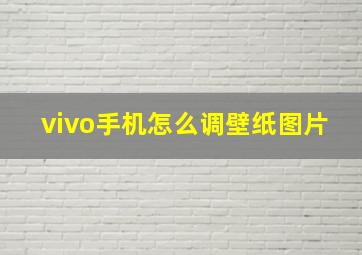 vivo手机怎么调壁纸图片