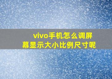 vivo手机怎么调屏幕显示大小比例尺寸呢