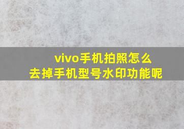 vivo手机拍照怎么去掉手机型号水印功能呢