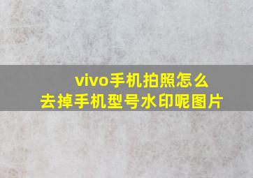 vivo手机拍照怎么去掉手机型号水印呢图片