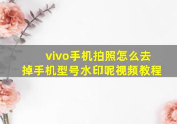 vivo手机拍照怎么去掉手机型号水印呢视频教程