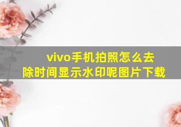 vivo手机拍照怎么去除时间显示水印呢图片下载