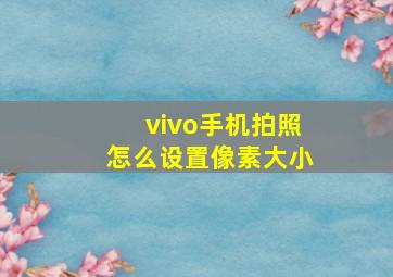 vivo手机拍照怎么设置像素大小