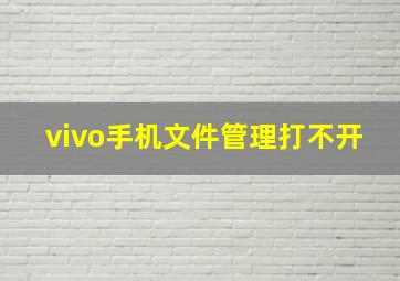 vivo手机文件管理打不开