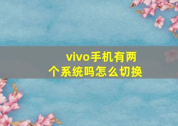 vivo手机有两个系统吗怎么切换