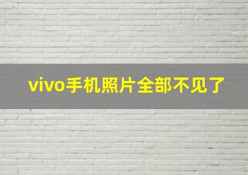 vivo手机照片全部不见了