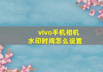 vivo手机相机水印时间怎么设置