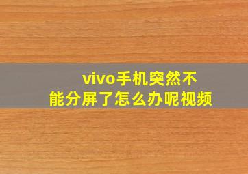 vivo手机突然不能分屏了怎么办呢视频