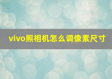 vivo照相机怎么调像素尺寸