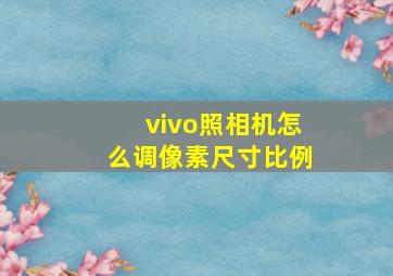 vivo照相机怎么调像素尺寸比例