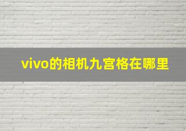 vivo的相机九宫格在哪里