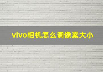 vivo相机怎么调像素大小