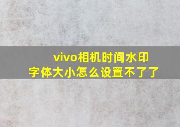 vivo相机时间水印字体大小怎么设置不了了