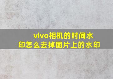 vivo相机的时间水印怎么去掉图片上的水印