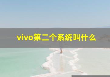 vivo第二个系统叫什么