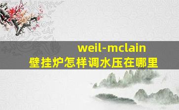 weil-mclain壁挂炉怎样调水压在哪里