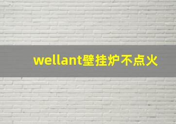 wellant壁挂炉不点火