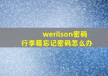 werilson密码行李箱忘记密码怎么办